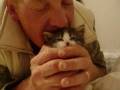 videos de Witt Movie 2_0001.wmv