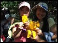 iyf monterrey sua y kiute