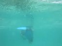 cubas-fishermans-island.html