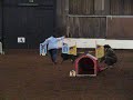 agility didot liempde