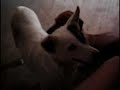 Molda - giving a massage Molda - giving a massage