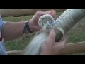 Unduh Video Women And Horses - What Is The Fascination Sexy Girls Intelligent Technology Smart Farming #ARJ Unduh Video Women And Horses - What Is The Fascination Sexy Girls Intelligent Technology Smart Farming #ARJ