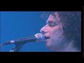 andrés calamaro media veronica made in argentina