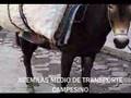 ANDAHUAYLAS-FERIA DOMINICAL