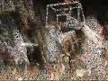 ball4real   atlanta