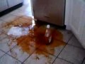 Ketchup