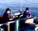 Imaxes en video do muelle de Camariñas no que podemos ver un barco pertencente ao pobo mariñeiro das rias baixas O Grove.