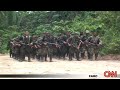 VIKTOR BOUT ARRESTED IN THAILAND - CNN REPORT