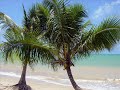 Gal Costa - Aquarela do Brasil