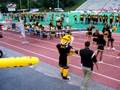 videos de Doc the Tiger