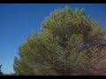 bajada por tierra