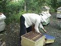 Honey extraction - short story - Bulgarian Agriculture.com video