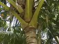 Malediven /Part1/ Velidhu Island / Ari Atoll / Holyday 2006