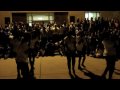 UDM Moonlight Yard Show