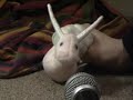 creature-comforts-countryside-code.html