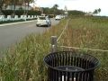 The beach path and surf on PSI, FL.AVI