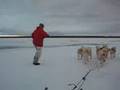 Running with the Dogs back to Igloolik