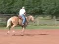 A Rare Pleasure: Oscar is shown by Michael Torturo of 3Drum loping the barrels with just a rope around his neck.