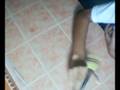 videos de new  angle for AC