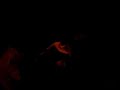 Roubando lixo...N.S.F.M.S.D Roubando lixo...N.S.F.M.S.D