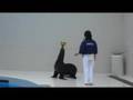 はとバス動画7