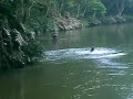 expedicion rio claro 2008