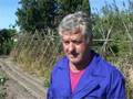 videos de Clemente