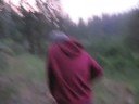 Thumbnail #1
