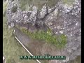 boztepe trabzon