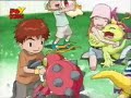 Digimon 02 Espa�ol Episodio 27 Paildramon 2/2