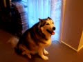 Kosher Gets A Treat Kosher Gets A Treat