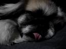 ?????????!^^;?mia latte russare!!!:) ?????????!^^;?mia latte russare!!!:)
