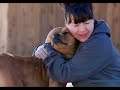 The Michael Vick Project - Adoption Success Stories