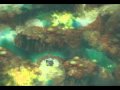 Let's Play Chrono Cross #028g - An Eye For Detail
