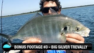 Big Silver Trevally Caught On Soft Plastic Lure In East Gippsland