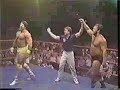Dingo Warrior & Matt Borne vs The Batten Twins