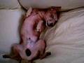 Foto v�deo