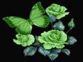 Ghost of a Rose--Blackmores Night