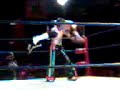 IWW-Irish whip wrestling