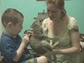Boy battles neurofibromatosis Boy battles neurofibromatosis