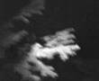 1980, The Bentwaters UFO Incident
