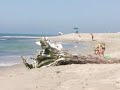 Laird Hamilton, Protecting Our Oceans