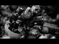 Dungeness: Letus Extreme 35mm / Sony EX1