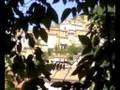 San Donato visto tra gli alberi dello chalet