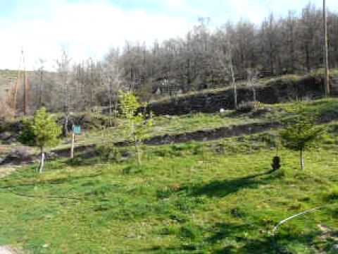Borda el Vilar