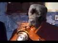 Cantaloop (flip fantasia) by the houd jazz dogs!!