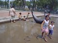Phoenix two months after autism diagnosis
