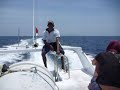 Blue water express from Gili Trawangan to Bali