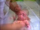 video do meu filho guilherme