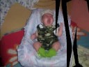 video do meu filho guilherme